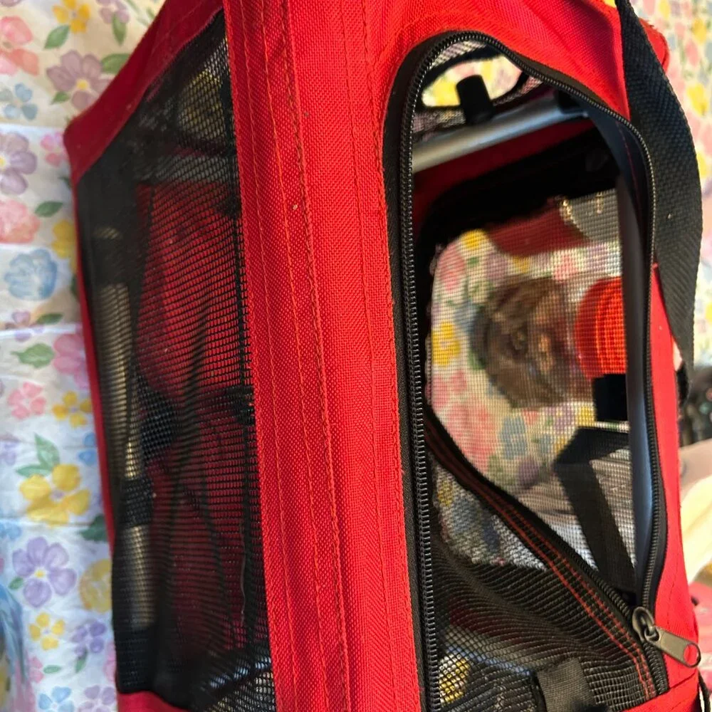Canvas & Mesh Small Pet Carrier